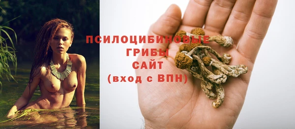 COCAINE Новодвинск