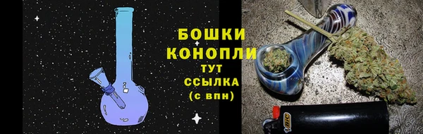 гидропоника Нязепетровск